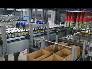 Pick and Place Case Packer for 6 Cases at One Grabbing for Bottles Case Packing