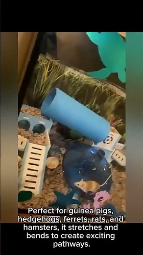Telescopic Small Pet Tunnel 🐹🦔 Hamster, Guinea Pig & Ferret Toy | Stretchable Play Tube