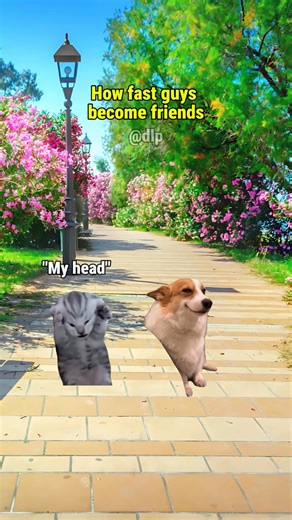 How faast guys become friends 🤣 | MemesInternational