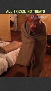 Funniest fails on Halloween 💀😂🎃 #fails #prank #halloween #scary #costume | This is Happening Daily
