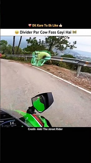 Divider me cow gas Gayi 🥺❤️‍🩹 #shorts #motovolgger #motovlog