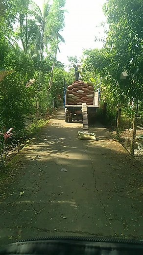 original sound - Phyo Pyae Sone - Songs ပါဝင်သည့် Sa Myo Paing (@sa.myo.paing) ၏ ဗီဒီယိုများ