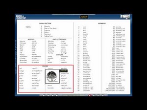 Visual Link Spanish: Bonus Section Lesson 7