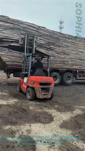 Forklift Master: The Logistics Industry's Unsung Hero