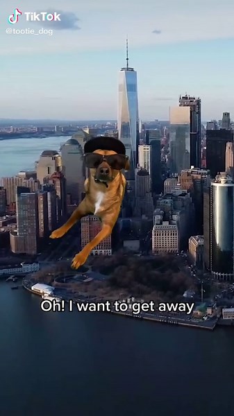 Tootie Paradise on TikTok