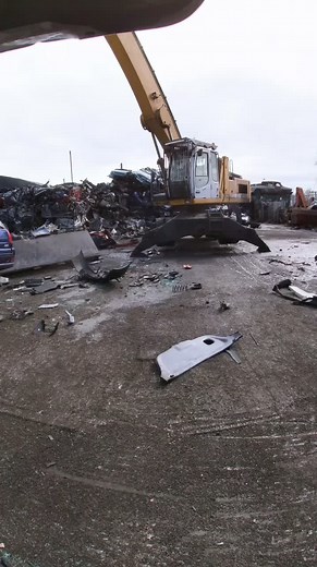 #fyp#viral #controlledchaos