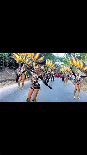 Color Guard Dance Routine: Viral Marching Band Performance