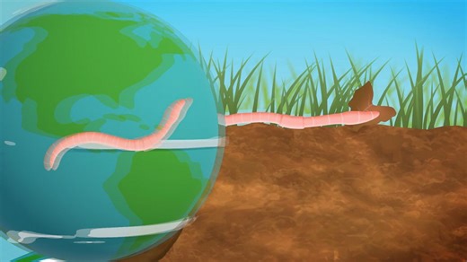 Facts about Earthworms | Ferne & Rory's Teeny Tiny Creatures | CBeebies