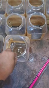 Jarring and passive grooming Part 3 | Lex Betta