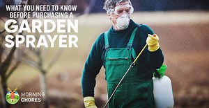 5 Best Garden Sprayers (Electric or Manual Pump) - Reviews & Buying Guide