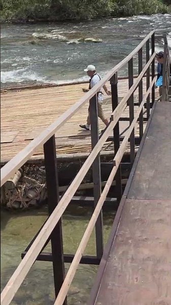 🐟【鮎つかみ取り】広瀬やな！鮎料理を満喫！涼を求めて｜豊田市内の矢作川、2025年7月撮影