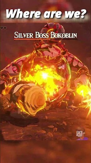 Most BRUTAL Silver Bokoblin Battle #zeldatotk #tearsofthekingdom #shorts