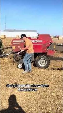 Making 2000 Square bales the hard way! #agriculture #farming #familyfarm #farmlife #farmer