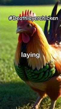 Deathlayer Chicken #chicken #facts #animals #deathlayerchicken #wildlife #fowl #nature