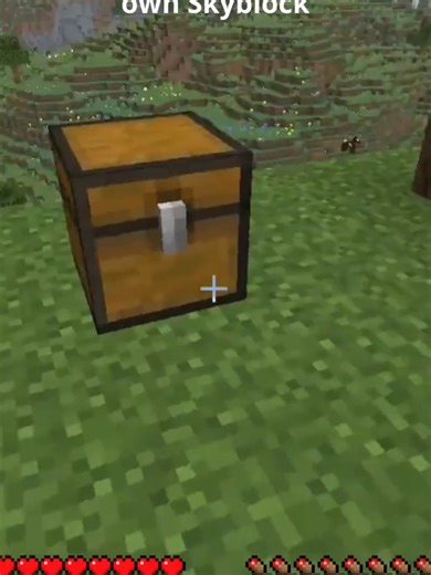 Join Our Minecraft SkyBlock Server Community