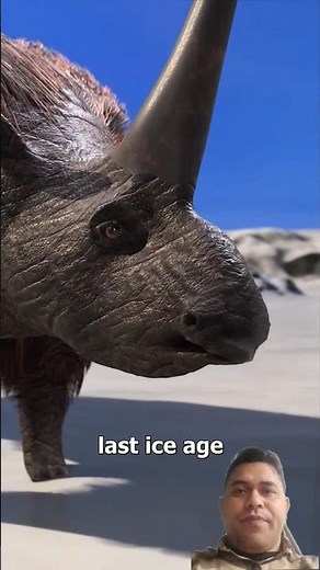 Scientists STUNNED! Real-Life Dragon Sightings Explained | Education Films