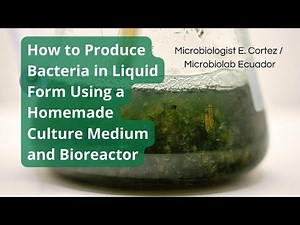 How to Produce Bacteria in Liquid Form Using