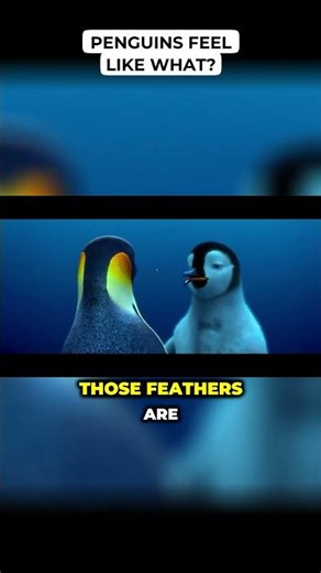 Penguins Feel Like What?