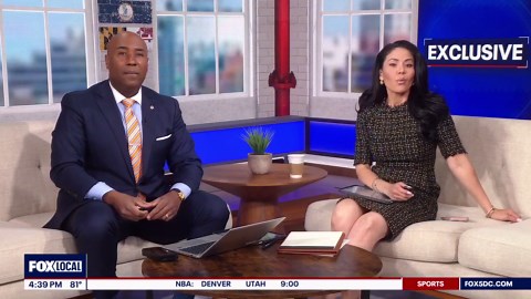 Rat chews through car wiring, causes $15K in damage in DC