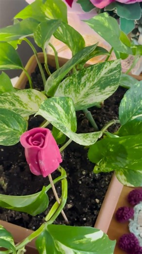 A Quiet Visual Hug 🍀 Let the Day Go