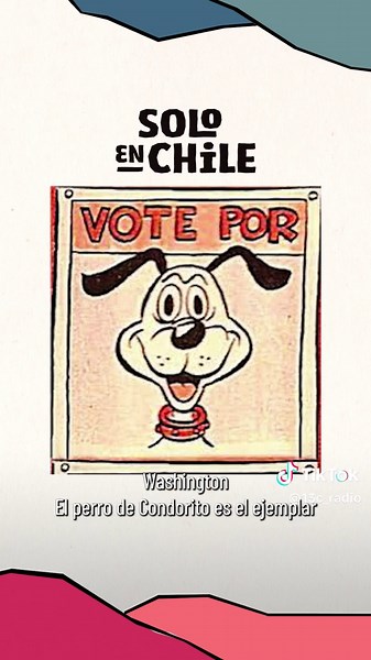 ¿Cómo se llama tu quilterry? En este capítulo #SoloEnChile, Vero Calabi nos cuenta la historia de los “quilterry”, esta raza de perro que solo existe en Chile. Escucha el podcast en 13cradio.cl