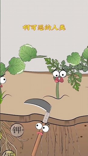 Now you know why watermelons are grafted with pumpkin roots! ,Wonderful knowledge in Douyin,Anime
