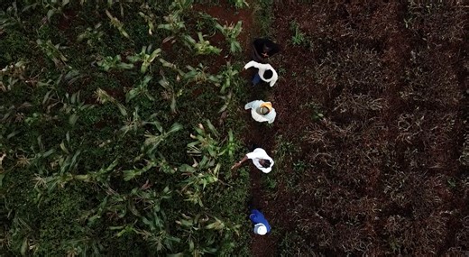 The future of agriculture: How HP's AI-enabled technology is transforming the way farmers work