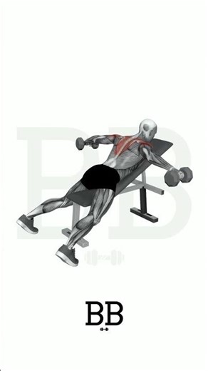 DB Incline Reverse Fly (REAR DELTS): Fix Rounded Shoulders & Build Thickness! 🦅💪