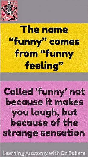 Funny Bone