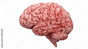 Human brain rotate with alpha mask