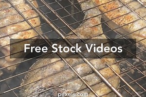 Grilled Fish Videos, Download The BEST Free 4k Stock Video Footage & Grilled Fish HD Video Clips