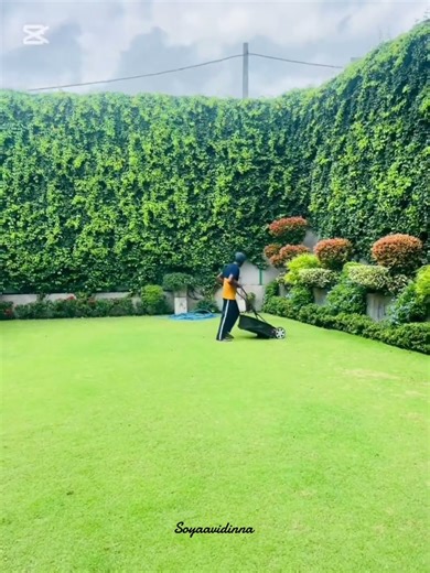 Garden Maintenance 💚👊 #nature #landscape #garden