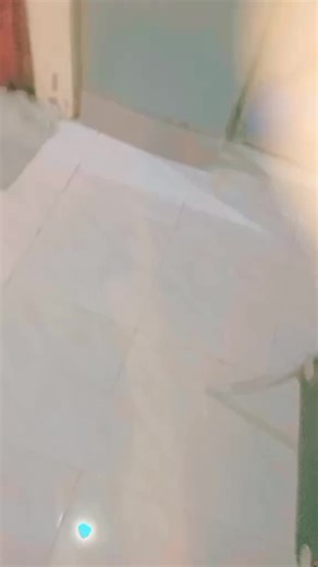 Baileypupp🪻^᪲᪲᪲ (@itsyourdog_bailey)’s videos with original sound - Not_micsss🪻 - Baileypupp🪻^᪲᪲᪲