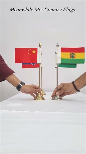 Red Flag vs Green Flag… But It’s Not What You Think 😳 #worldflags