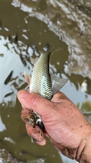 Catch a lot of fish, female fisherman loves fishing