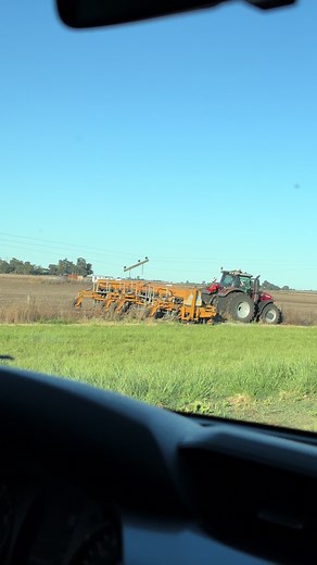 Se durmió el compañero😬 #campoargentino🌱🌾🌻🐮🐂 #argentina🇦🇷 #viralvideos