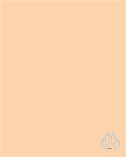 Studs & Kisses Balconette Cup w/Underwire Teddy Black MD