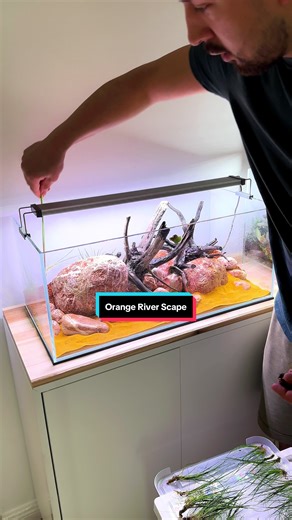 Stepping out of my comfort zone 🌊🔥 This time I tried something new and unique — a shallow aquarium aquascape inspired by the natural flow of a river. Bold reds and oranges, warm tones, and dynamic hardscape to create movement and depth. Aquascaping is all about experimenting, breaking rules, and finding your own style. Don’t be afraid to try something different — that’s where creativity really starts ✨ What do you think about this river-style shallow tank? Advertisement