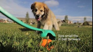 West Paw Design Zogoflex Jive Guaranteed Tough Dog Ball Chew Toy, Large 3-1/4-Inch, Black