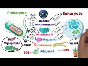 General Micro (309) - Mini Lecture (1)