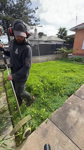 Turning overgrown chaos into a pristine canvas ✂️🌿 Service with a Smile 😃 #frankthelawnmowerman #lawn #lawns #lawncare #lawnmaintenance #lawncollection #lawnmowing #lawnservice #gardening #gardendesign #gardeninspiration #gardenlove #greengrass #landscape #landscaping #adelaide #southaustralia #oddlysatisfying #satisfying #LawnGoals #LawnLovers #GardenGoals #BeautifulGardens #OutdoorSpaces #NaturalBeauty #HomeGarden #BotanicalGarden #UrbanGarden #CountryGarden #crispyedges