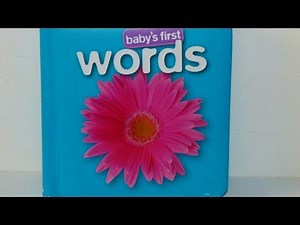 Baby's first words book