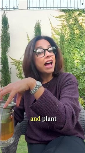 Do Herbal Teas Really Work? Benefits for Digestion, Stress & Skin | JiViSa Wellness