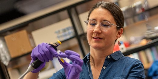 UVM researchers learn how tiny ocean crustacean adapts to climate change