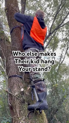 Making the kid hang my deer stand. #stand #tree