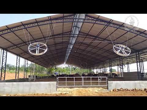 Compost Barn - Bovinocultura Leiteira dos Monges Cistercienses de Itaporanga - SP