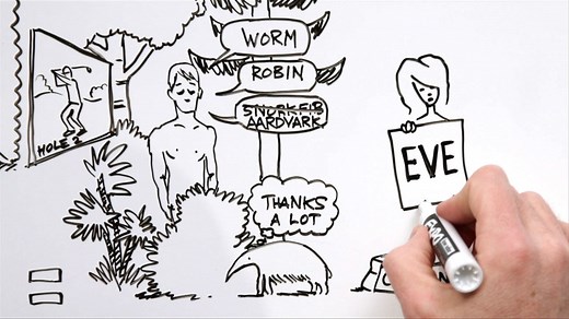 Whiteboard Bible 1 - Creation