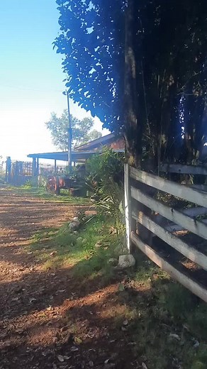 Exploring Rustic Charm: White Wooden Fence in Nature