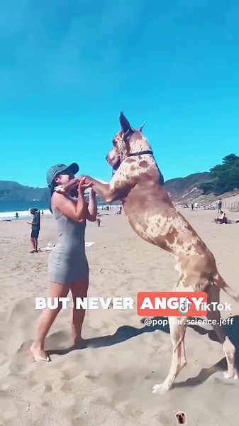 Exploring Popular Science Concepts in Language Learning