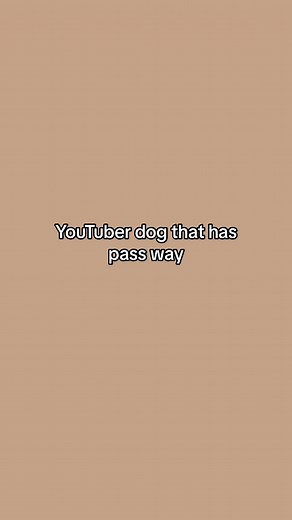 Remembering Peanut: A Tribute to Our Beloved Dog